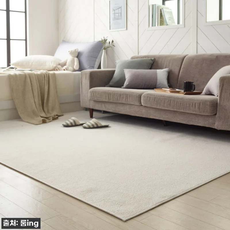 이 가격 실화?! 델리브 단모 러그, 관련 이미지 1