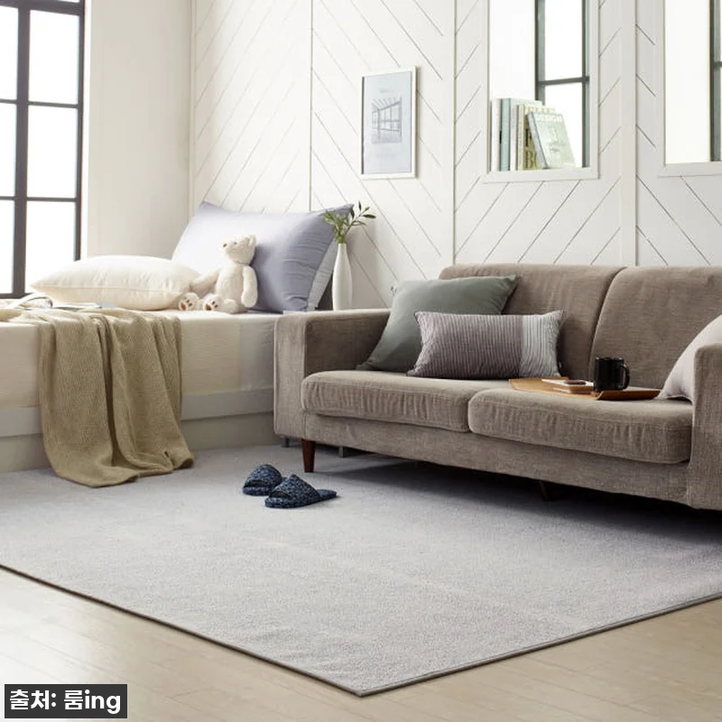 이 가격 실화?! 델리브 단모 러그, 관련 이미지 2