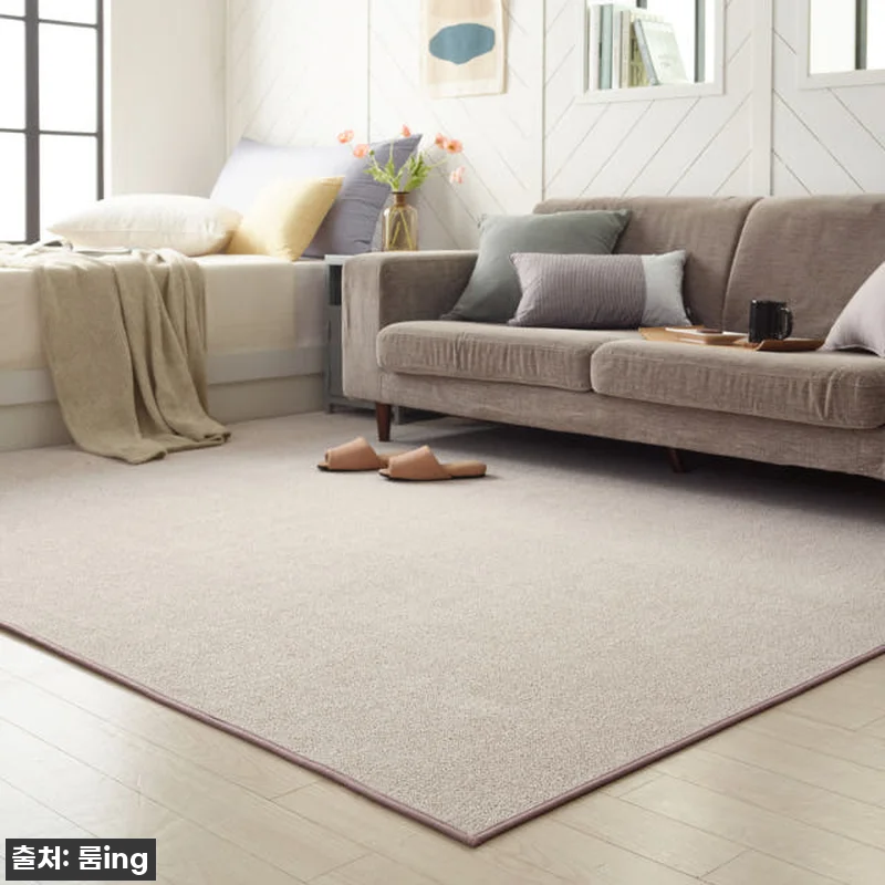 이 가격 실화?! 델리브 단모 러그, 관련 이미지 3