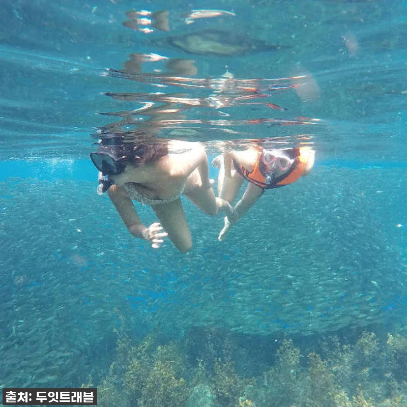 보홀 여행 필수템! 나팔링 히낙다난 투어 찐후기, 인생샷 100만장 각! 16 보홀 여행 필수템! 나팔링 히낙다난 관련 이미지 4