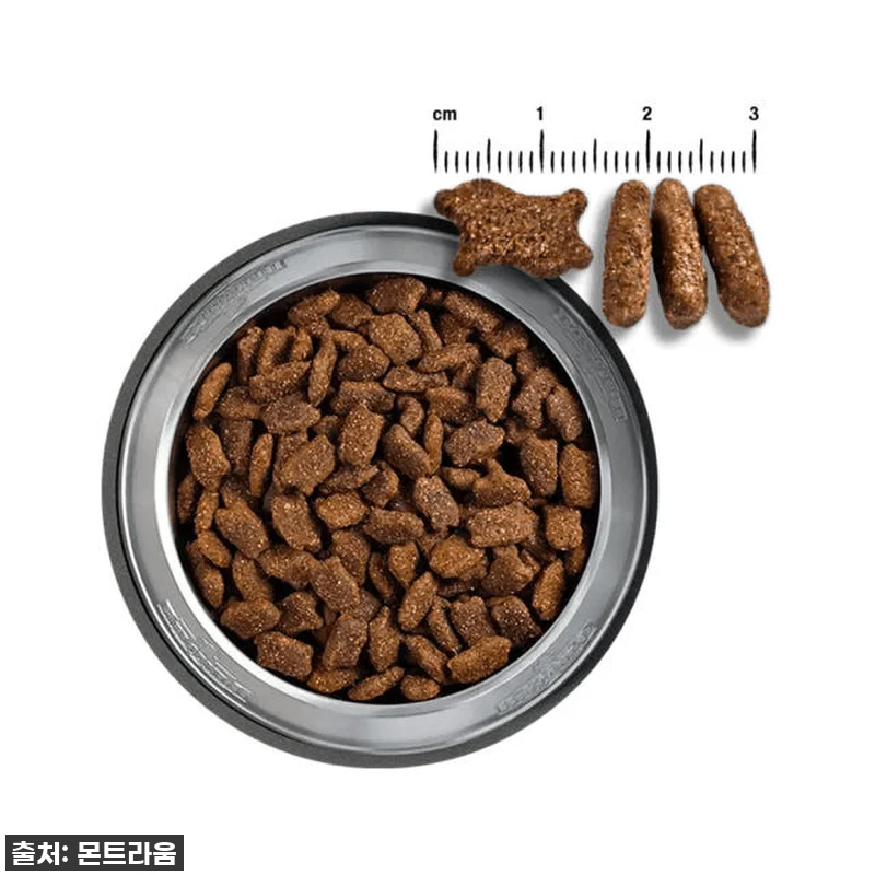 우리 강아지 밥투정 끝! 찐후기: 벨칸도 마스터크래프트 오리 50g 샘플, 이거 진짜 물건이네요! 14 우리 강아지 밥투정 끝! 찐후기: 벨 관련 이미지 4