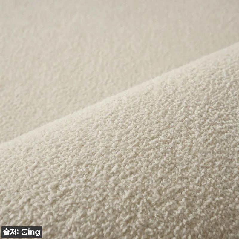 이 가격 실화?! 델리브 단모 러그, 관련 이미지 5