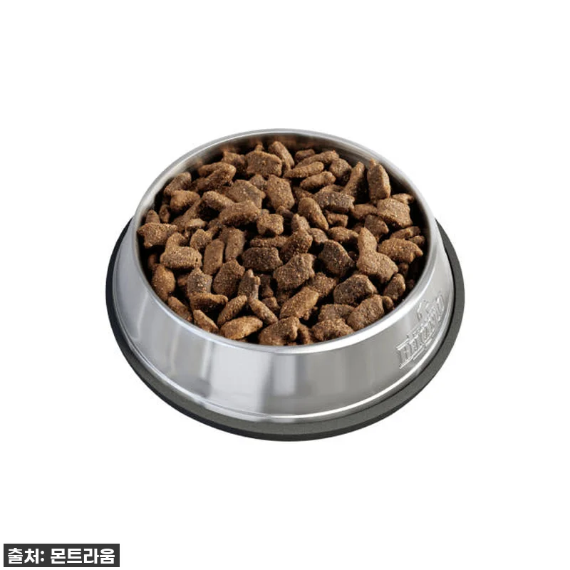 우리 강아지 밥투정 끝! 찐후기: 벨칸도 마스터크래프트 오리 50g 샘플, 이거 진짜 물건이네요! 15 우리 강아지 밥투정 끝! 찐후기: 벨 관련 이미지 5