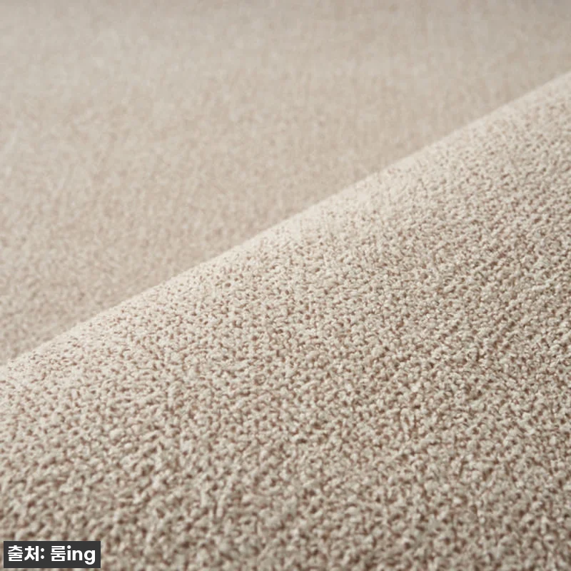 이 가격 실화?! 델리브 단모 러그, 관련 이미지 6