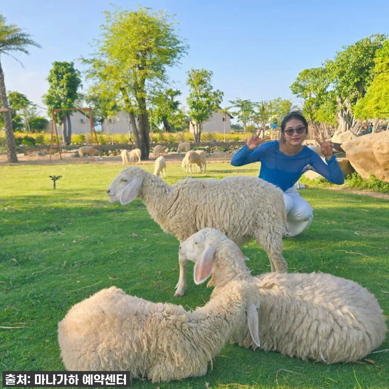 ✨ 품절임박! 10만원대 투어를 3만원대에? 나트랑 판랑 사막 지프투어 리얼 체험기! 🚗💨 19 ✨ 품절임박! 10만원대 투어를 3만 관련 이미지 7