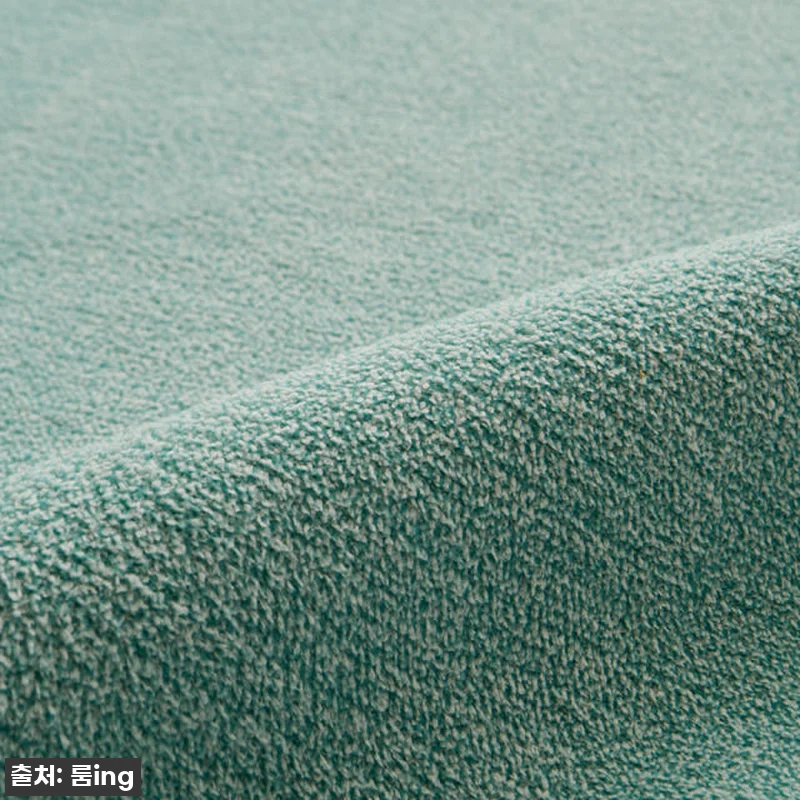 이 가격 실화?! 델리브 단모 러그, 관련 이미지 7