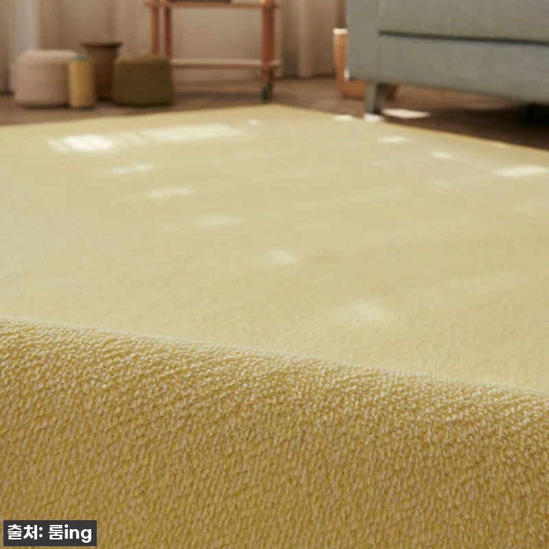 이 가격 실화?! 델리브 단모 러그, 관련 이미지 8