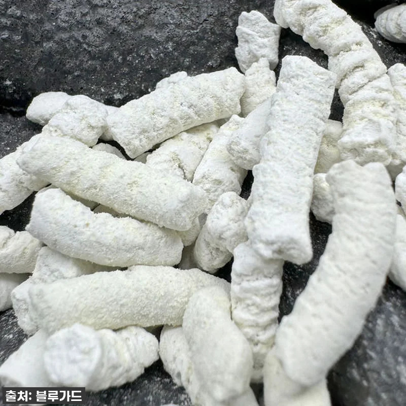 🐍우리 집 뱀 공포 끝! '뱀이싹' 관련 이미지 8