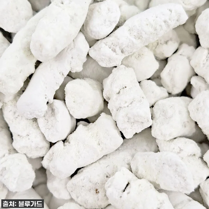 🐍우리 집 뱀 공포 끝! '뱀이싹' 관련 이미지 9