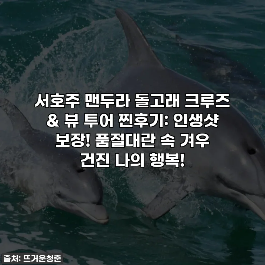 서호주 맨두라 돌고래 크루즈 & 뷰 투어 찐후기: 인생샷 보장! 품절대란 속 겨우 건진 나의 행복!