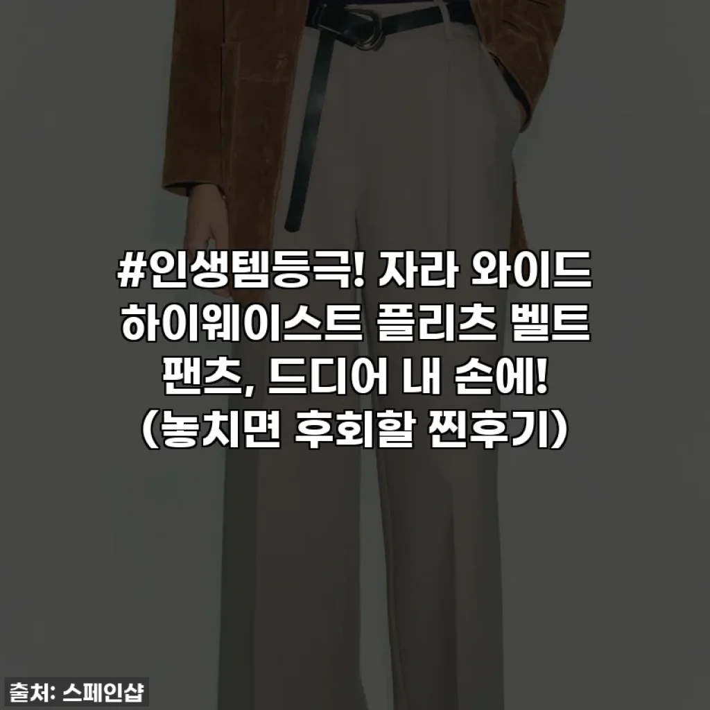 #인생템등극! 자라 와이드 하이웨이스트 플리츠 벨트 팬츠, 드디어 내 손에! (놓치면 후회할 찐후기)
