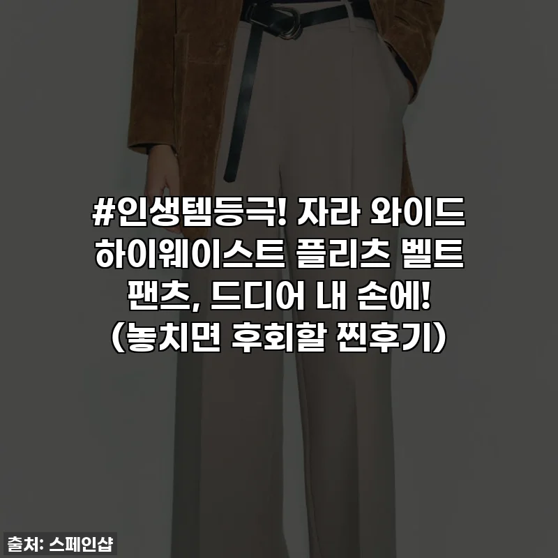 #인생템등극! 자라 와이드 하이웨이스트 플리츠 벨트 팬츠, 드디어 내 손에! (놓치면 후회할 찐후기)