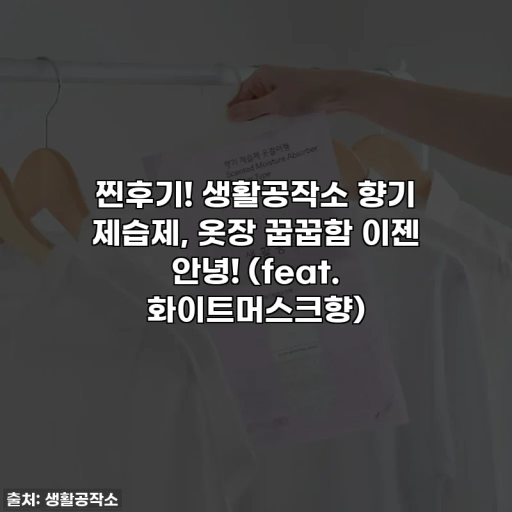 찐후기! 생활공작소 향기 제습제, 옷장 꿉꿉함 이젠 안녕! (feat. 화이트머스크향)