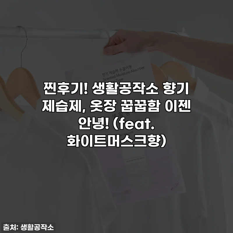 찐후기! 생활공작소 향기 제습제, 옷장 꿉꿉함 이젠 안녕! (feat. 화이트머스크향)