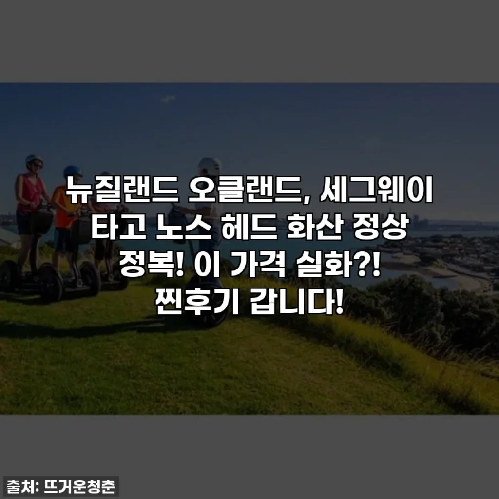 뉴질랜드 오클랜드, 세그웨이 타고 노스 헤드 화산 정상 정복! 이 가격 실화?! 찐후기 갑니다!