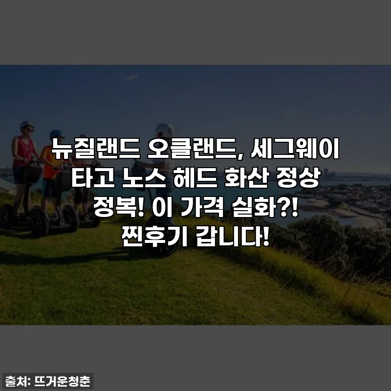 뉴질랜드 오클랜드, 세그웨이 타고 노스 헤드 화산 정상 정복! 이 가격 실화?! 찐후기 갑니다!