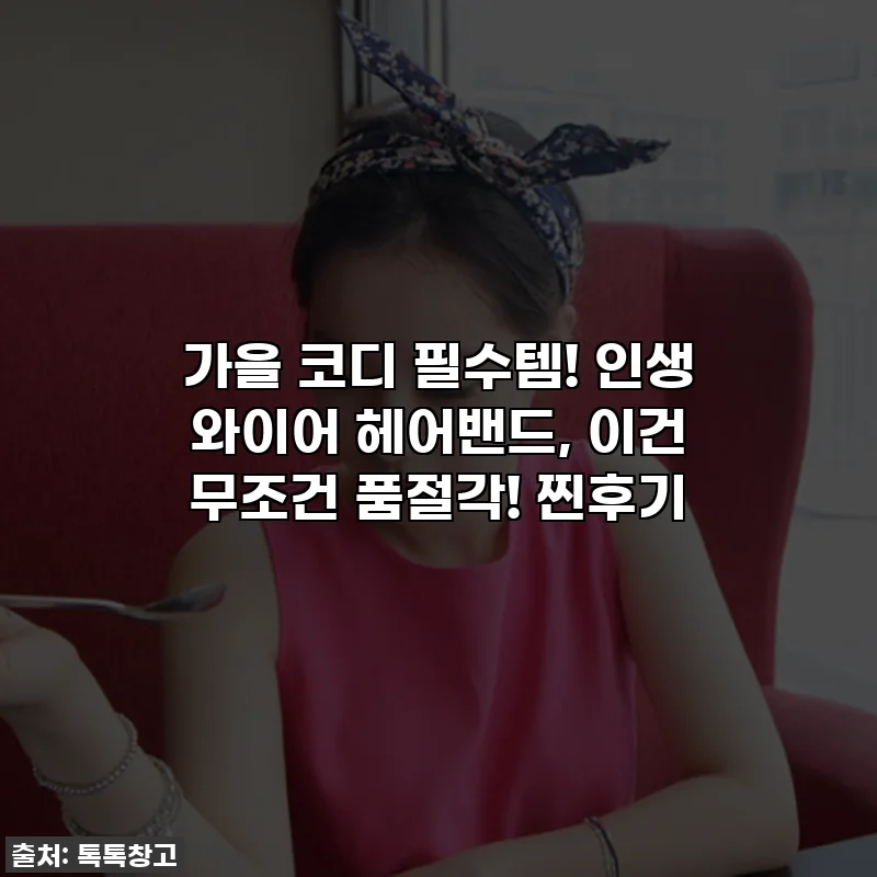 가을 코디 필수템! 인생 와이어 헤어밴드, 이건 무조건 품절각! 찐후기