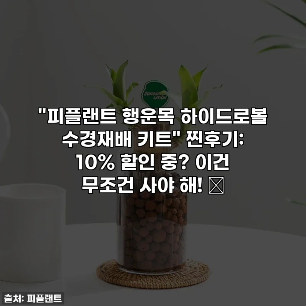 "피플랜트 행운목 하이드로볼 수경재배 키트" 찐후기: 10% 할인 중? 이건 무조건 사야 해! 🍀