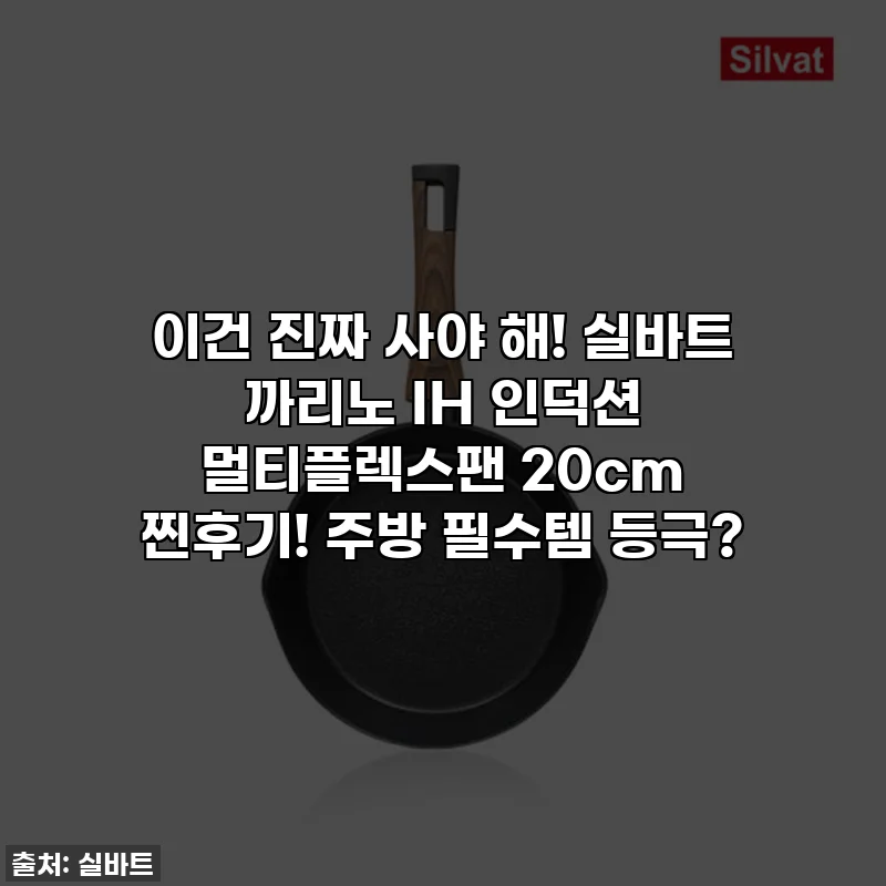 이건 진짜 사야 해! 실바트 까리노 IH 인덕션 멀티플렉스팬 20cm 찐후기! 주방 필수템 등극?