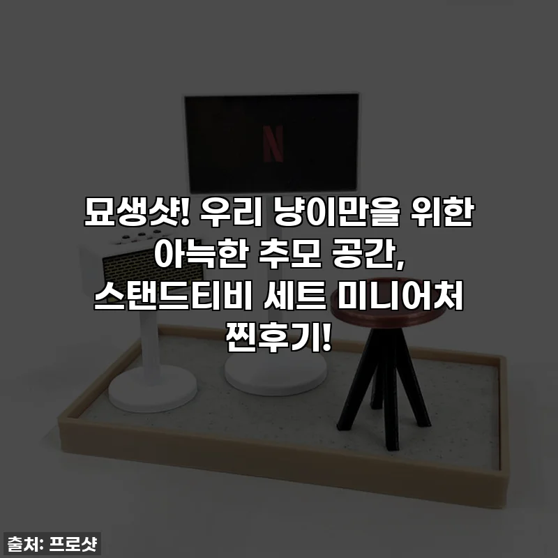 묘생샷! 우리 냥이만을 위한 아늑한 추모 공간, 스탠드티비 세트 미니어처 찐후기!