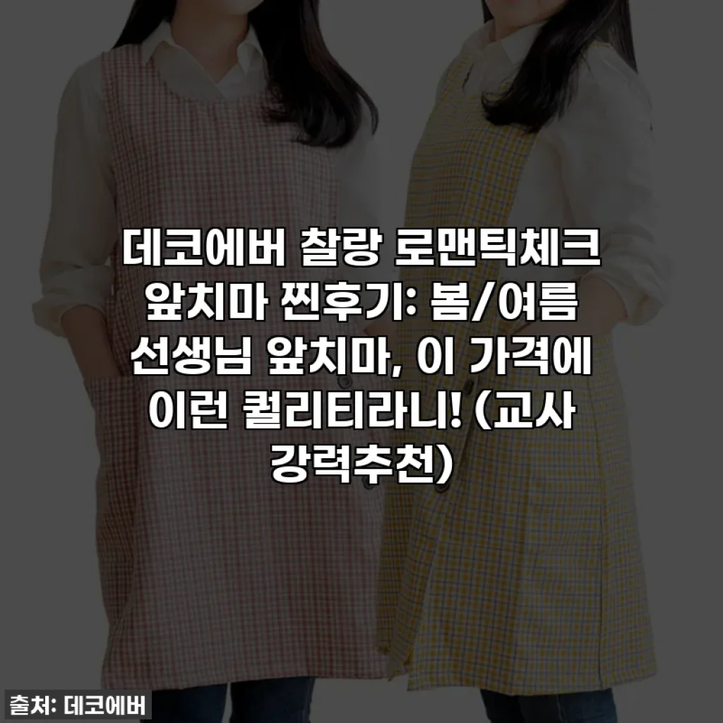데코에버 찰랑 로맨틱체크 앞치마 찐후기: 봄/여름 선생님 앞치마, 이 가격에 이런 퀄리티라니! (교사 강력추천)