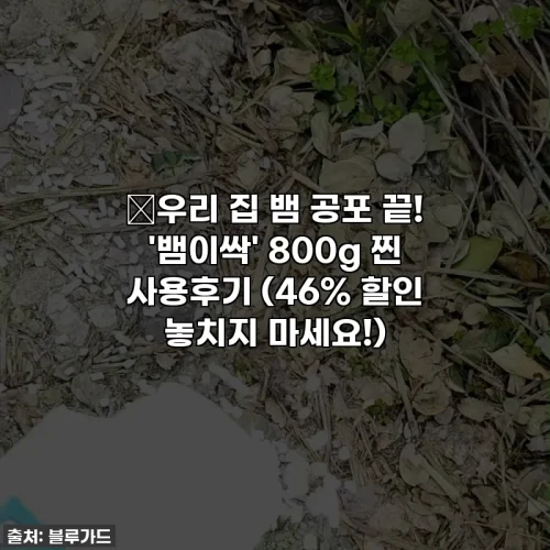 Home 61 🐍우리 집 뱀 공포 끝! '뱀이싹' 800g 찐 사용후기 (46% 할인 놓치지 마세요!)