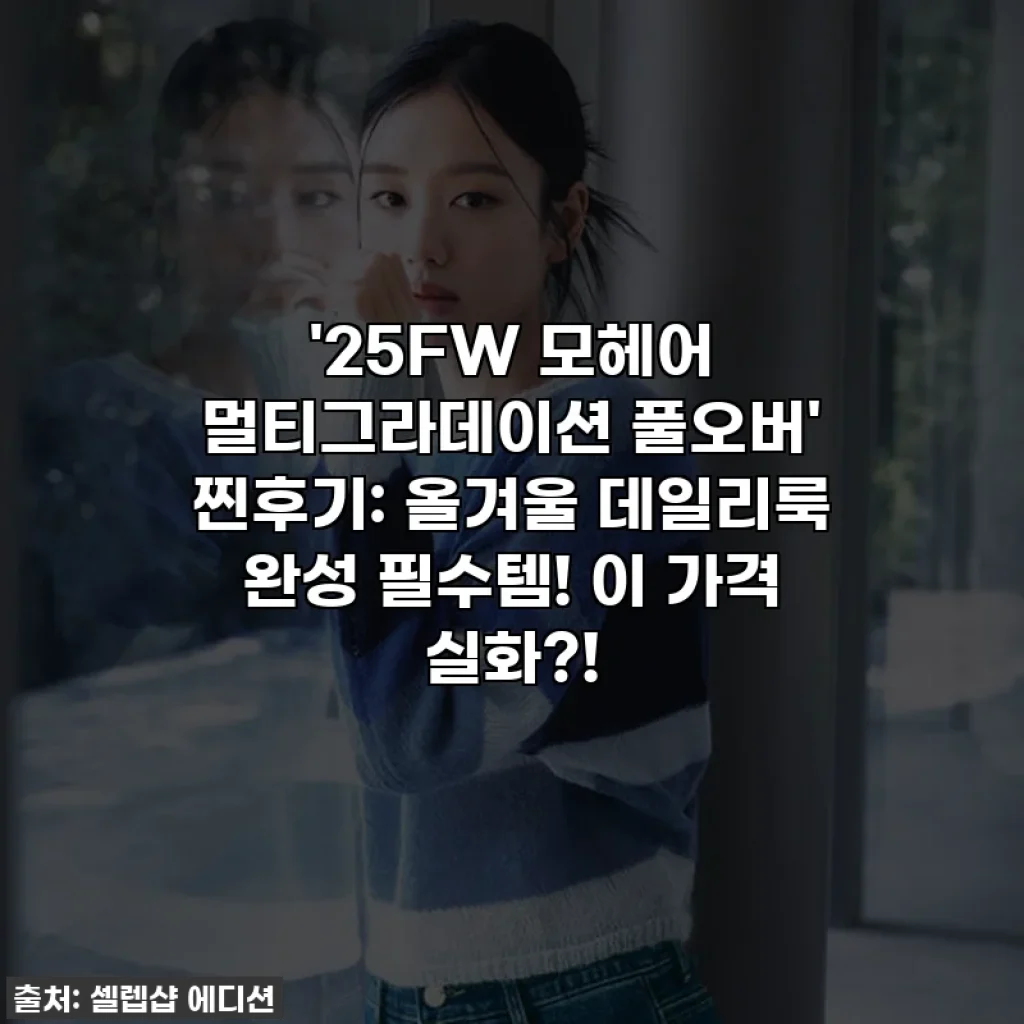 '25FW 모헤어 멀티그라데이션 풀오버' 찐후기: 올겨울 데일리룩 완성 필수템! 이 가격 실화?!