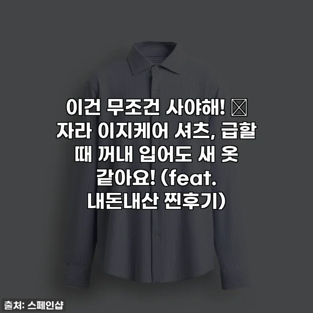 이건 무조건 사야해! 👚 자라 이지케어 셔츠, 급할 때 꺼내 입어도 새 옷 같아요! (feat. 내돈내산 찐후기)