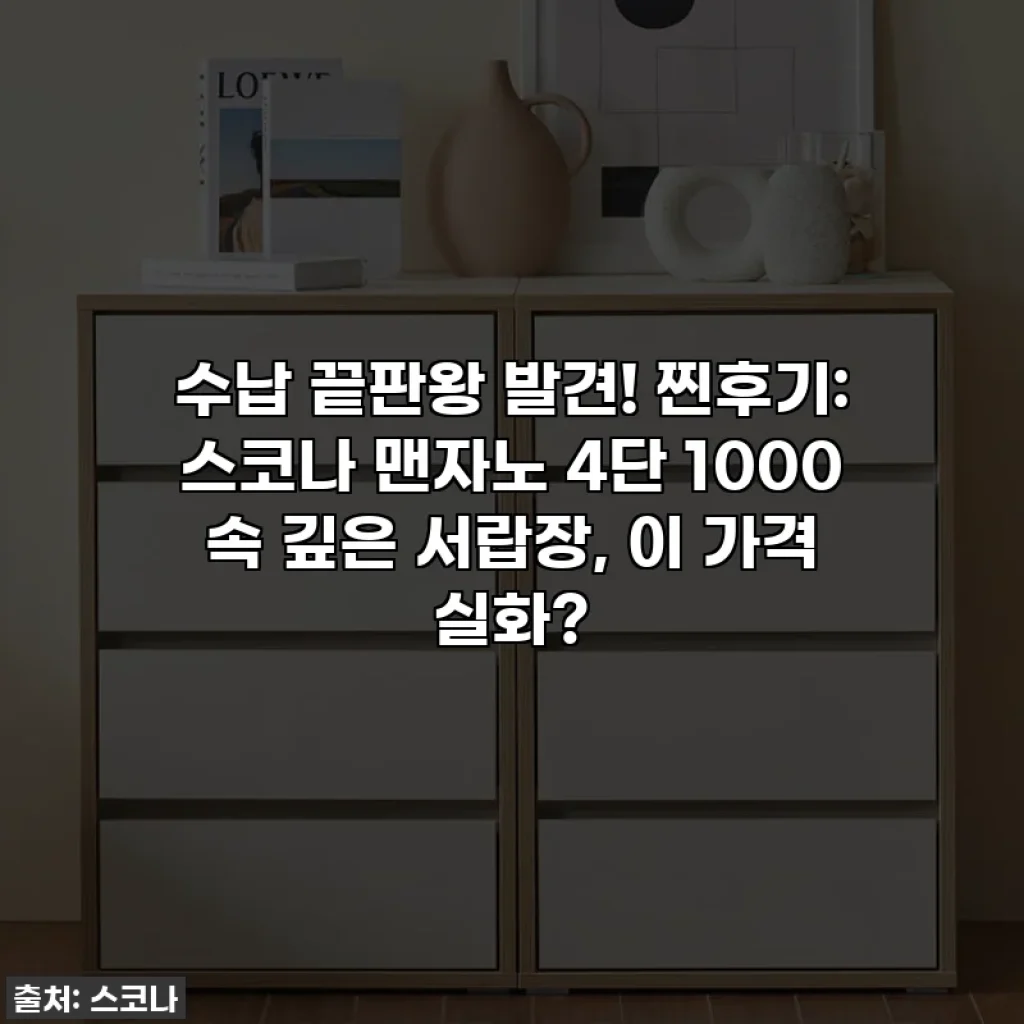 수납 끝판왕 발견! 찐후기: 스코나 맨자노 4단 1000 속 깊은 서랍장, 이 가격 실화?