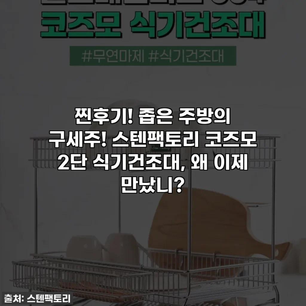 찐후기! 좁은 주방의 구세주! 스텐팩토리 코즈모 2단 식기건조대, 왜 이제 만났니?