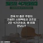찐후기! 좁은 주방의 구세주! 스텐팩토리 코즈모 2단 식기건조대, 왜 이제 만났니?