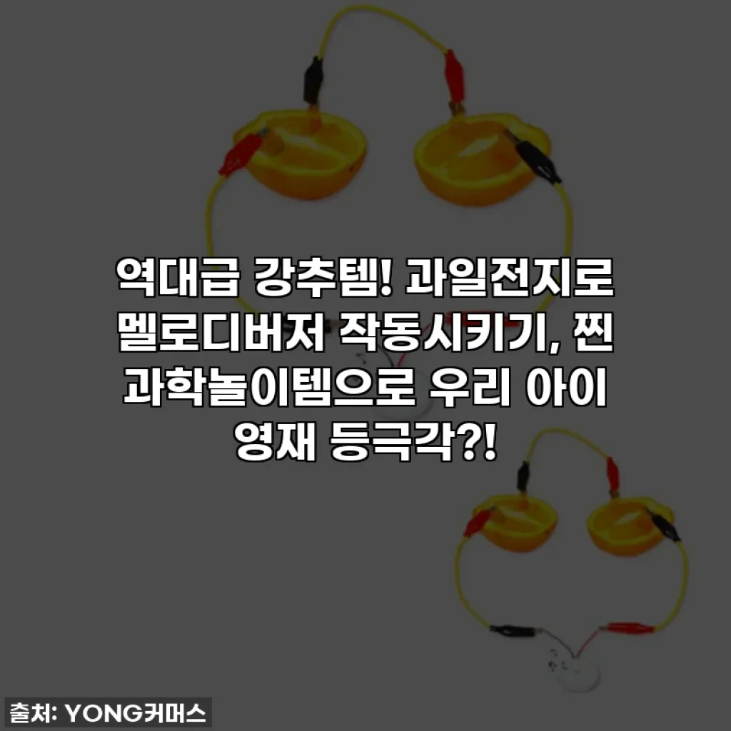 역대급 강추템! 과일전지로 멜로디버저 작동시키기, 찐 과학놀이템으로 우리 아이 영재 등극각?!