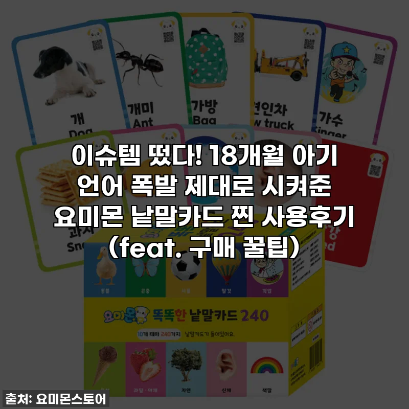 이슈템 떴다! 18개월 아기 언어 폭발 제대로 시켜준 요미몬 낱말카드 찐 사용후기 (feat. 구매 꿀팁)