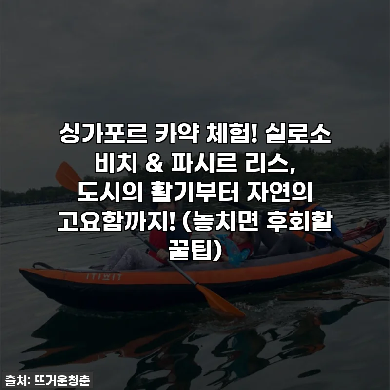 싱가포르 카약 체험! 실로소 비치 & 파시르 리스, 도시의 활기부터 자연의 고요함까지! (놓치면 후회할 꿀팁)