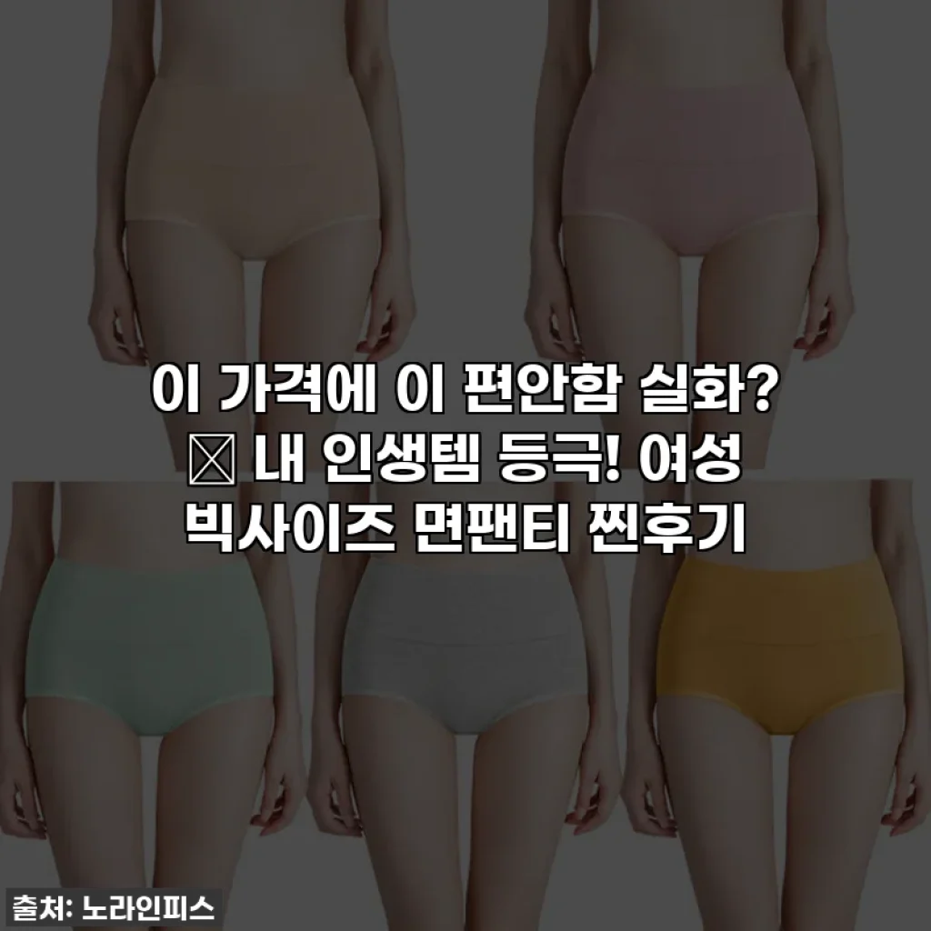 이 가격에 이 편안함 실화? ✨ 내 인생템 등극! 여성 빅사이즈 면팬티 찐후기