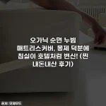 오가닉 순면 누빔 매트리스커버, 몽제 덕분에 침실이 호텔처럼 변신! (찐 내돈내산 후기)