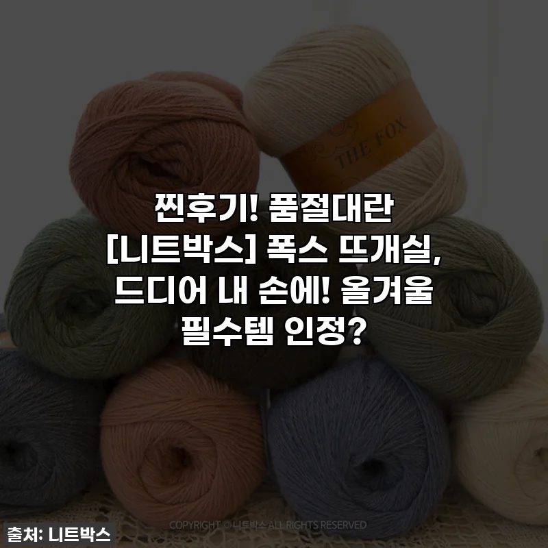 찐후기! 품절대란 [니트박스] 폭스 뜨개실, 드디어 내 손에! 올겨울 필수템 인정?