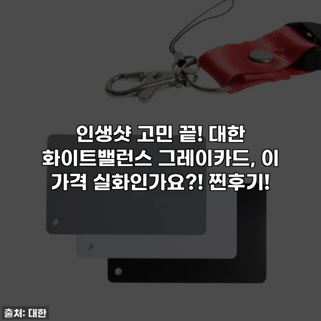 인생샷 고민 끝! 대한 화이트밸런스 그레이카드, 이 가격 실화인가요?! 찐후기!