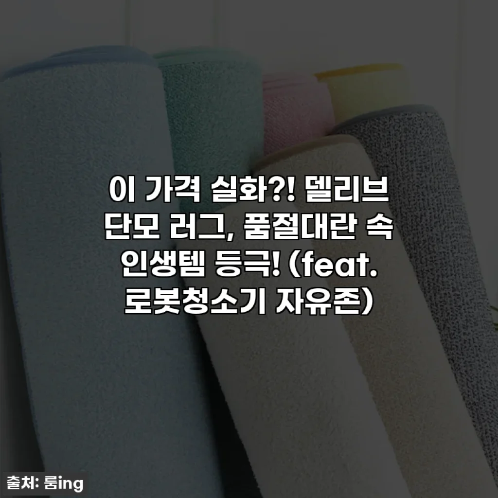 이 가격 실화?! 델리브 단모 러그, 품절대란 속 인생템 등극! (feat. 로봇청소기 자유존)