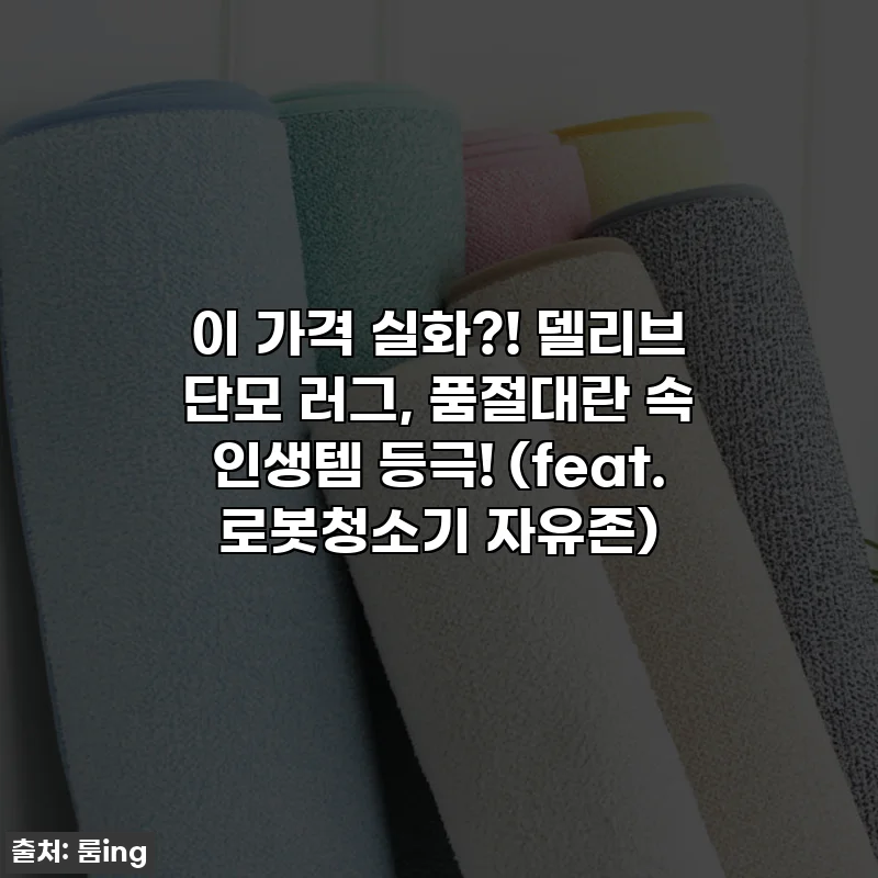 이 가격 실화?! 델리브 단모 러그, 품절대란 속 인생템 등극! (feat. 로봇청소기 자유존)