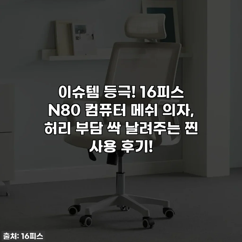 이슈템 등극! 16피스 N80 컴퓨터 메쉬 의자, 허리 부담 싹 날려주는 찐 사용 후기!