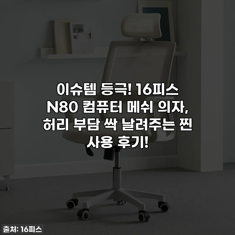 이슈템 등극! 16피스 N80 컴퓨터 메쉬 의자, 허리 부담 싹 날려주는 찐 사용 후기!