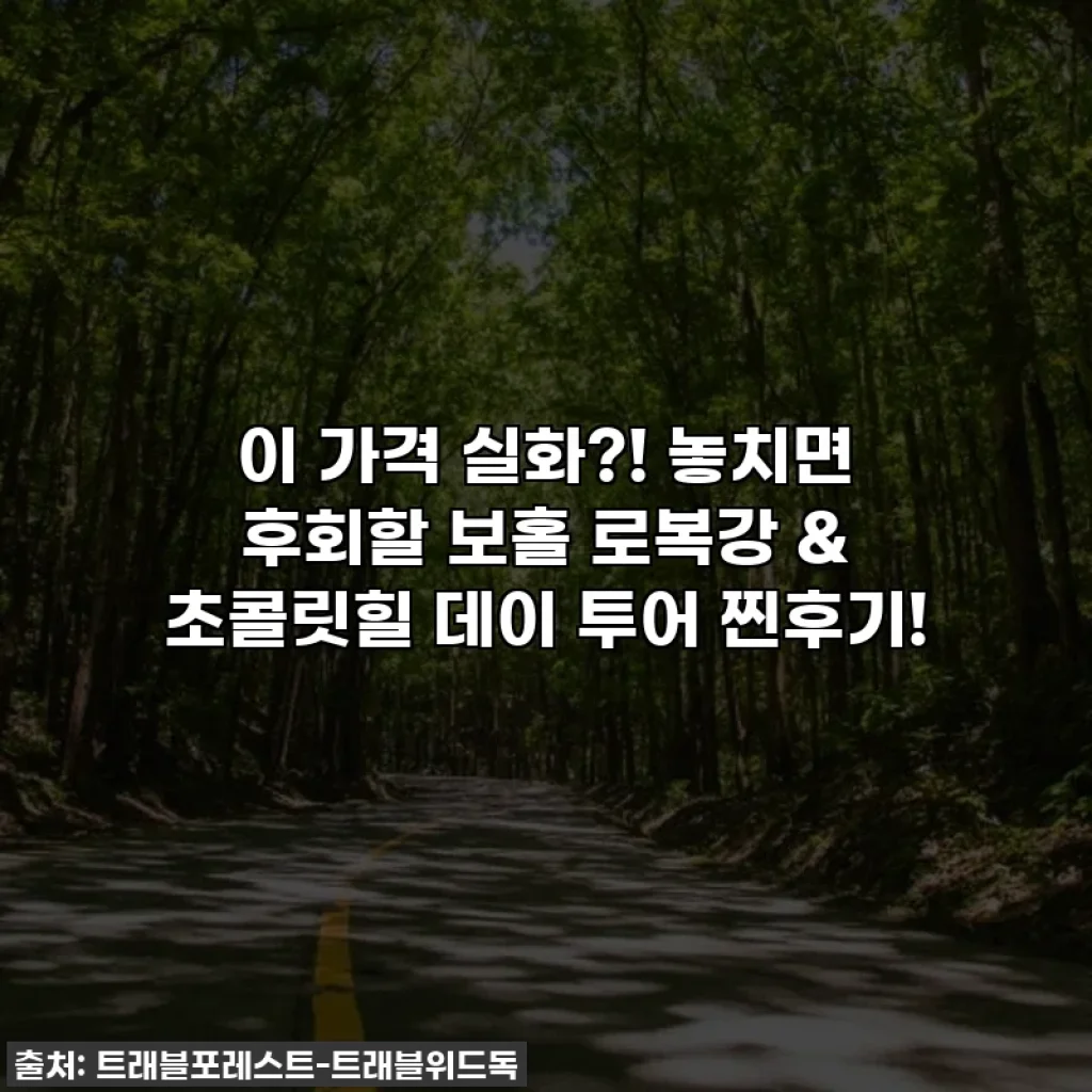 이 가격 실화?! 놓치면 후회할 보홀 로복강 & 초콜릿힐 데이 투어 찐후기!