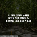 이 가격 실화?! 놓치면 후회할 보홀 로복강 & 초콜릿힐 데이 투어 찐후기!
