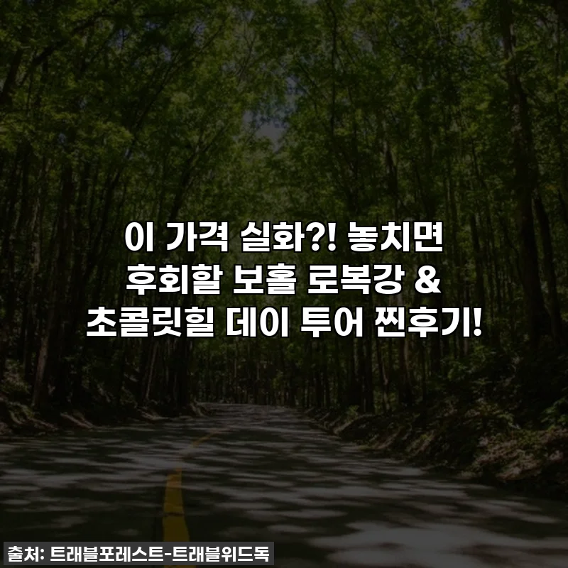 이 가격 실화?! 놓치면 후회할 보홀 로복강 & 초콜릿힐 데이 투어 찐후기!
