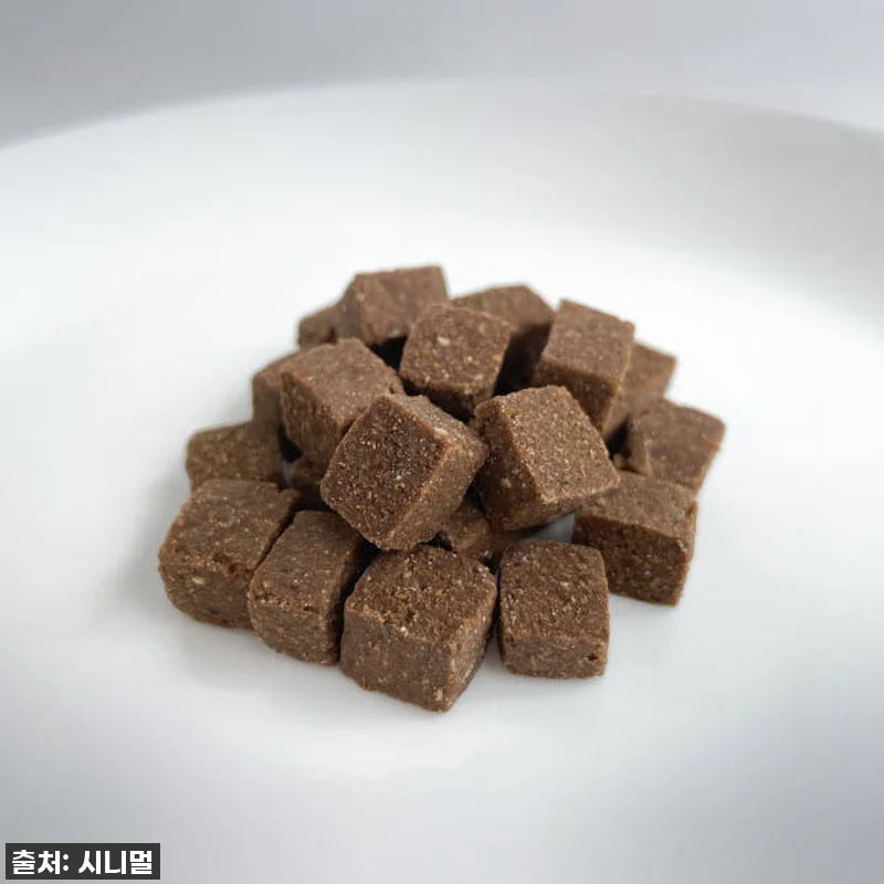 찐후기: 14살 노령견도 춤추게 하는 관련 이미지 1