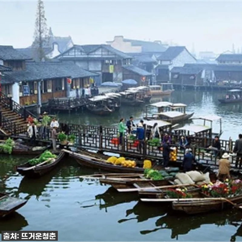 찐후기: 상하이 우전 수향마을 야경투 관련 이미지 1