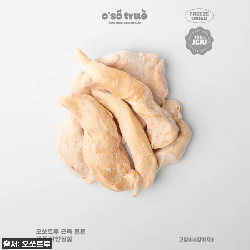 우리 냥이 식욕 폭발! 오쏘트루 제주 관련 이미지 1