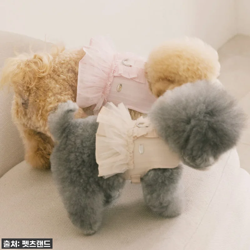 이슈템! 펫츠랜드 슈슈 메쉬 하네스옷 관련 이미지 1