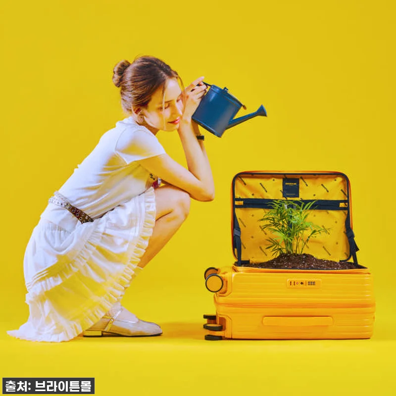 역대급 할인! 엘론 52cm 기내용 캐리어, 이거 하나면 여행 준비 끝! (진심 가득 찐후기) 12 역대급 할인! 엘론 52cm 기내용 관련 이미지 1